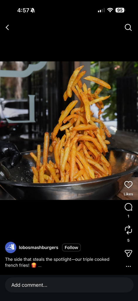 Bowl of Fries